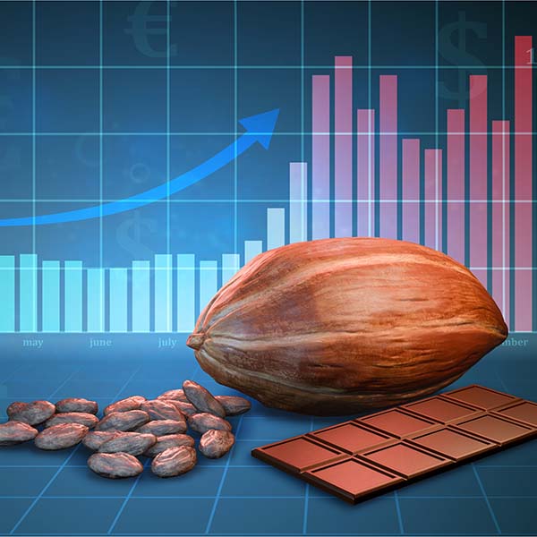 Investeren in cacao